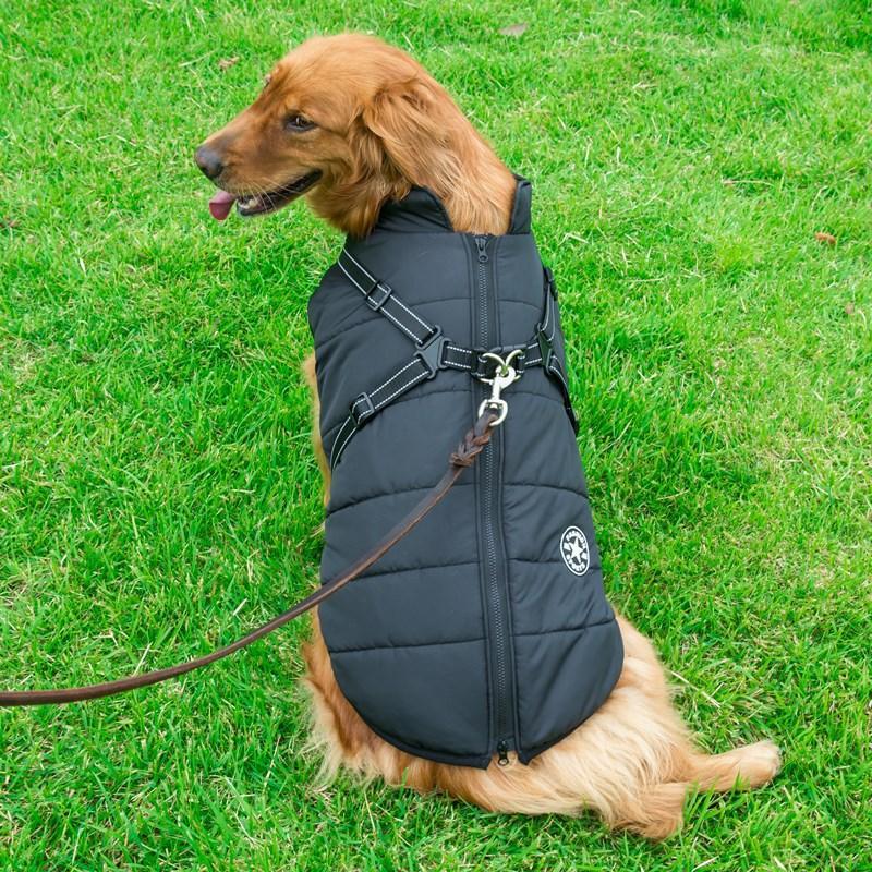 Waterproof Winter Jacket + Harness