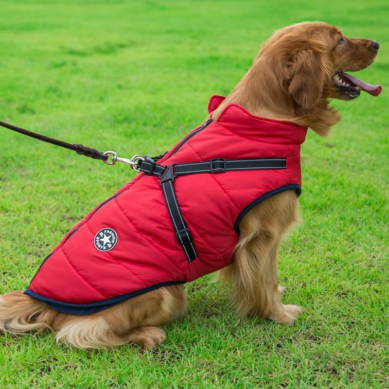 Waterproof Winter Jacket + Harness