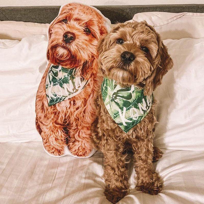 Custom Dog Pillow