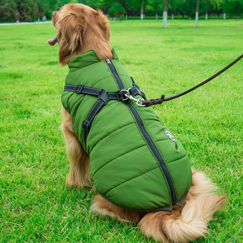 Waterproof Winter Jacket + Harness