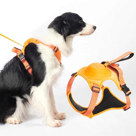 No Pull Adjustable Harness & Leash