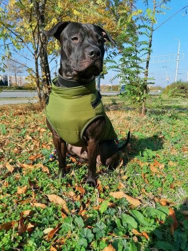 Waterproof Winter Jacket + Harness