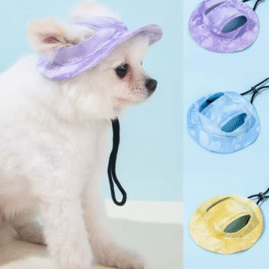 Summer Dog Hat