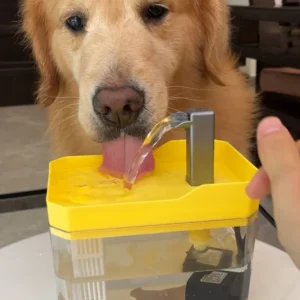 Pet Water Fountain
