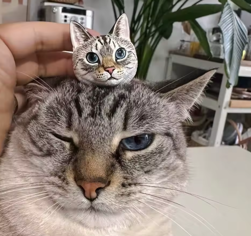 Captura de ecrã 2025-09-20 113327 Captura de ecrã 2025-09-20 113327