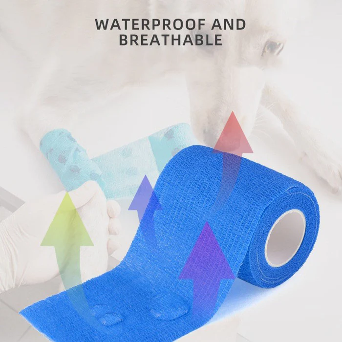 O1CN01GmQgHd231MUqkvBJq__3904247195-0-cib O1CN01GmQgHd231MUqkvBJq__3904247195-0-cib